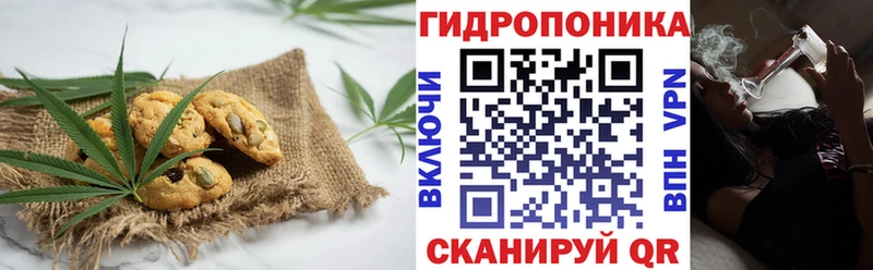 наркота  Краснокаменск  Canna-Cookies конопля 