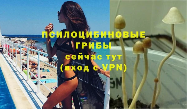 mdma Ладушкин