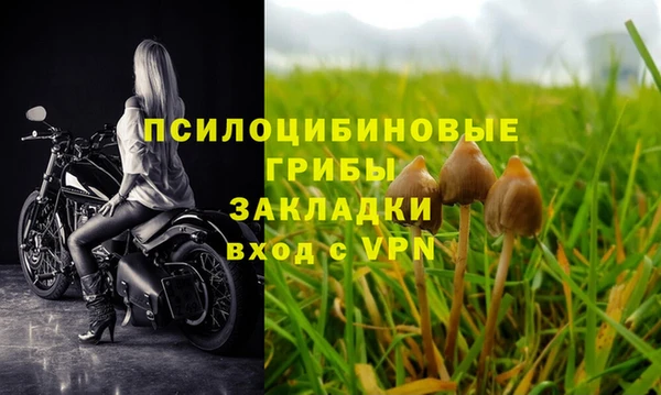альфа пвп Лагань