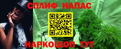 сатива Гусиноозёрск