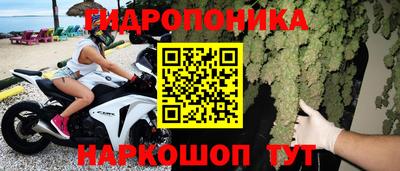 гидропоника Гусь-Хрустальный