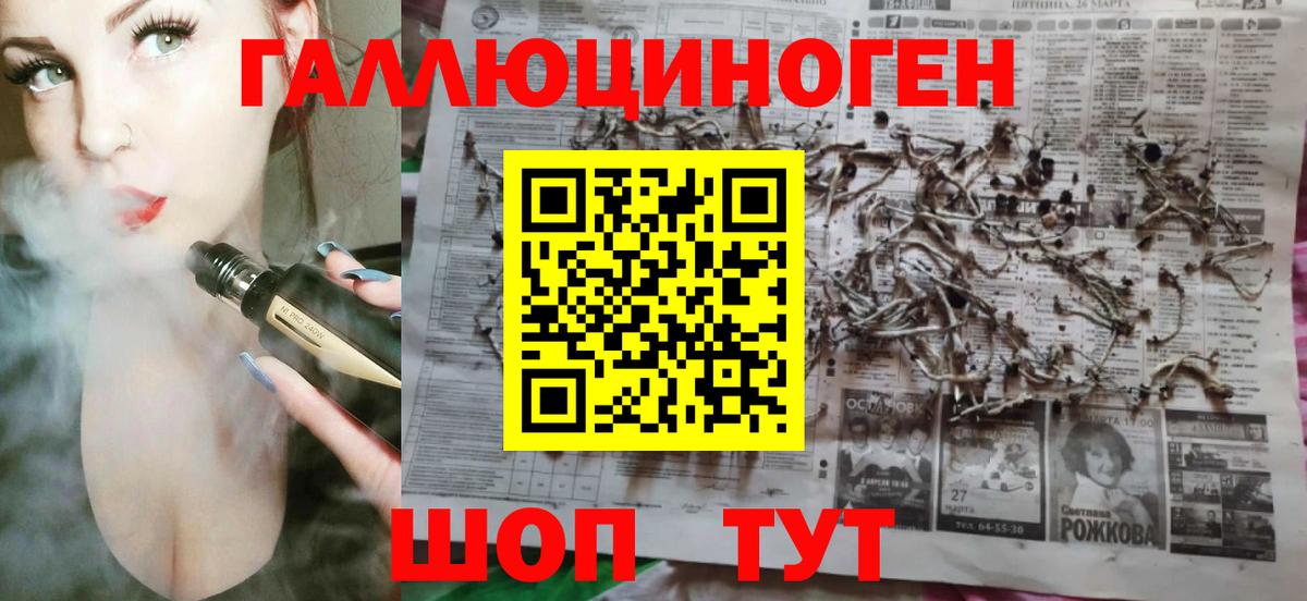 Галлюциногенные грибы Psilocybine cubensis Краснокаменск