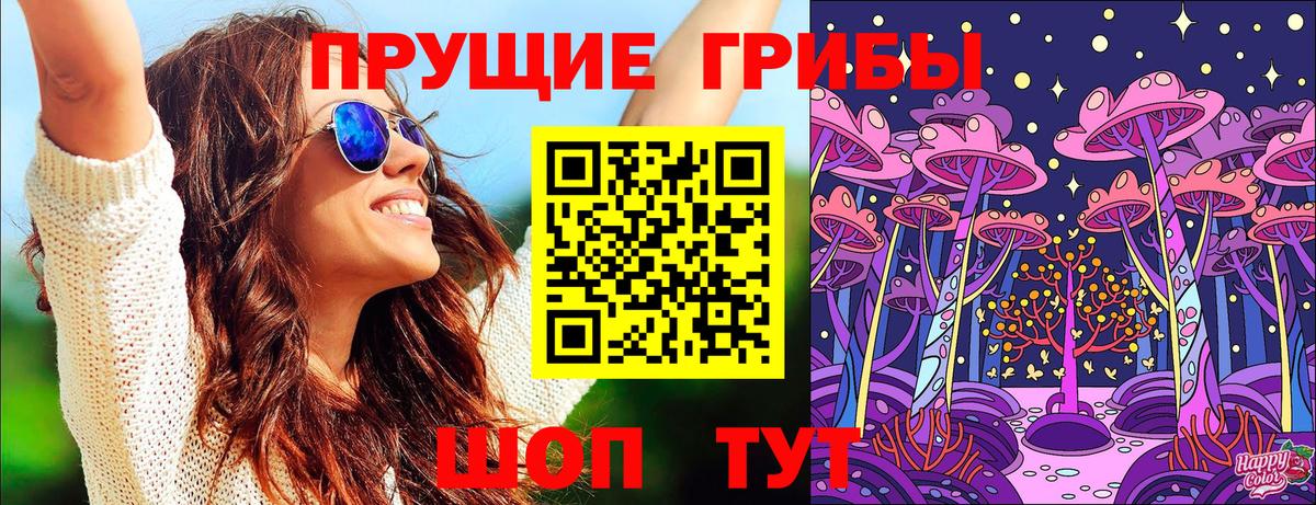 Псилоцибиновые грибы Cubensis  Краснокаменск  Псилоцибиновые грибы Psilocybe 